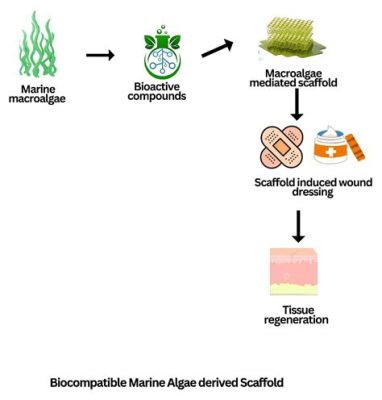  Elastine: Een Biocompatibel Wondermiddel voor Weefselregeneratie!