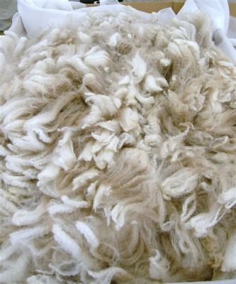 Alpaca wol: Verwonderingwekkende vezels voor premium textielproducten!