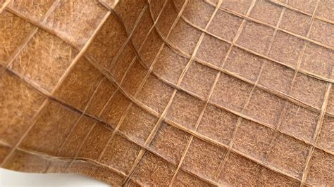 Bamboo Fibers: A Sustainable Solution for High-Performance Composite Materials!