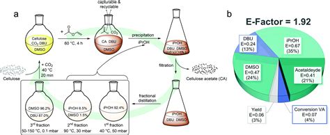  Cellulose Acetaat: Versnellend middel voor duurzame productiemethoden en hoogwaardige optische componenten!