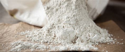 Diatomaceous Earth: De Wonderbaarlijke Eigenschappen van deze Natuurlijke Schuurmachine!