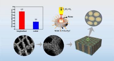 Fullerenen: De Wonderlijke Nanotubes Voor Uitstekende Thermische Geleiding en Lichtgewicht Materialen!