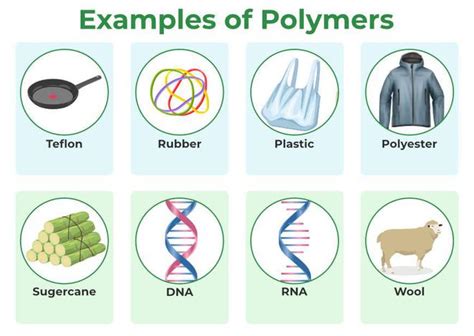 Isinglass Een Fundamentele Vezelvoor Synthetische Polymeren en Biologische Toepassingen?!