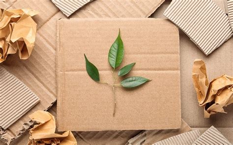  Jute Nanofibers: Revolutionizing Biodegradable Packaging and Sustainable Textile Production!