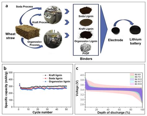 Lignine als Biobased Bindmiddel: Een Toekomstbelovend Material voor de Industrie?