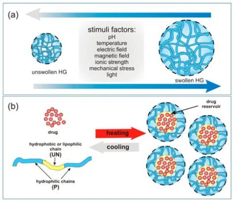  Nano-Hydrogel: Revolutionizing Tissue Engineering and Controlled Drug Release?