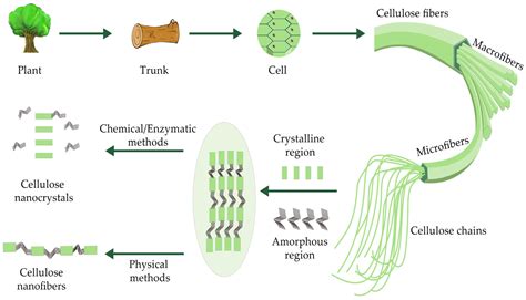  Nanocellulose: Revolutionerende Vezel voor Versterkte Composieten!