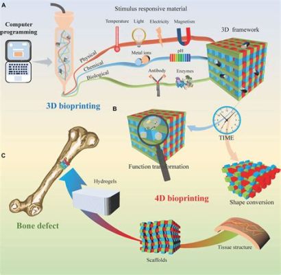  Osseo Integraal: De Verbluffende Toepassing van Een Materiaal dat in Bot Opgroeit!