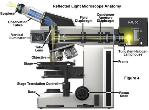  Xenon Voor De Oppervlaktebehandeling Van Materialen En Lichtbronnen In Microscopie!